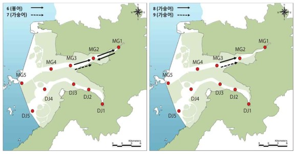 만경강 MG3번 지점에서 3월 1일 방류한 붕어 6번과 가숭어 7, 8, 9번 개체들의 이동