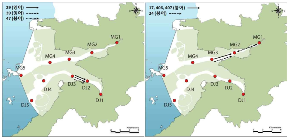 동진강(좌)과 만경강(우) 에서 방류한 담수어류 개체들의 이동