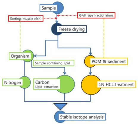 탄소, 질소 안정동위원소비 측정을 위한 시료별 전처리 과정 요약