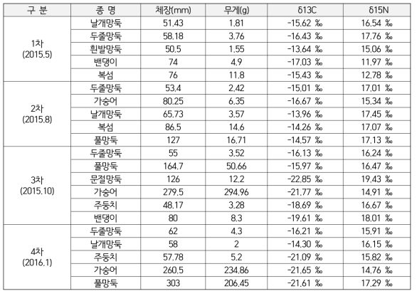 조사기간 채집된 기수종의 탄소 및 질소 안정동위원소비 평균값과 평균체장 및 평균무게