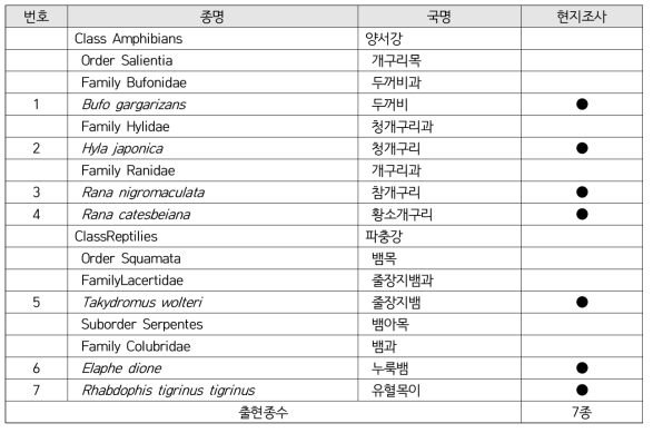 현지 조사에서 확인된 양서·파충류