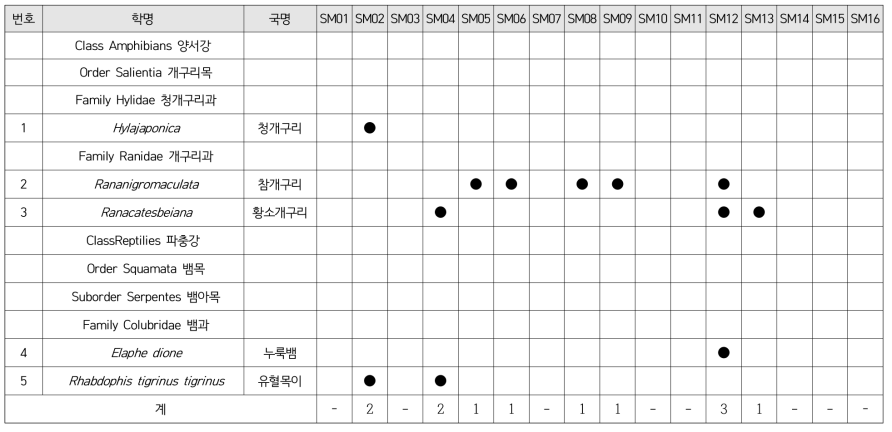 가을철(9, 10월)에 확인된 양서·파충류