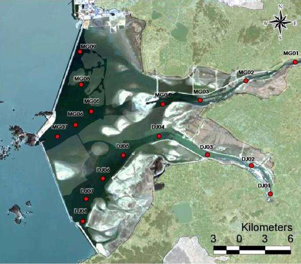새만금호 유역 수생태계 및 퇴적물 분야 조사지점도