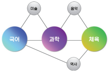 단일 교과중심적 성격을 반영한 약한 중등교과 융합