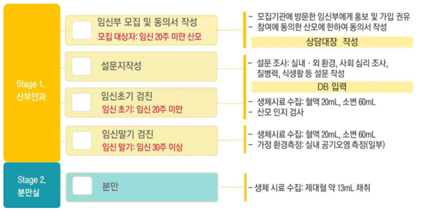 상세 코호트 참여자 모집 및 조사 과정