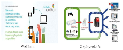 해외 의료데이터 관련 서비스 플랫폼: Wellbox, ZephyLife
