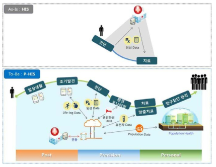 미래형 글로벌 P-HIS 개념도