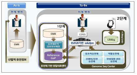 유전체 정보기반 질병 진단․치료 개념도