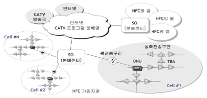 SO권역 및 셀(Fiber node) 구성