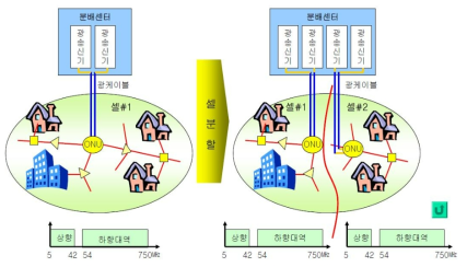 셀 분할의 의미와 장점