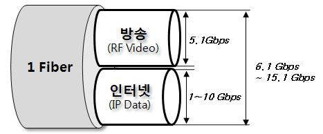 RF Overlay방식의 네트워크 대역폭