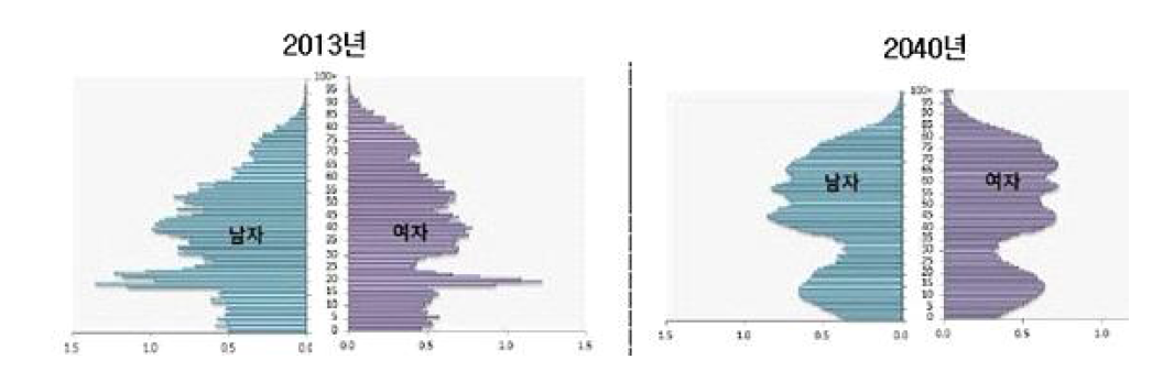 행복도시 인구 피라미드(2013/2040) *자료원: 통계청