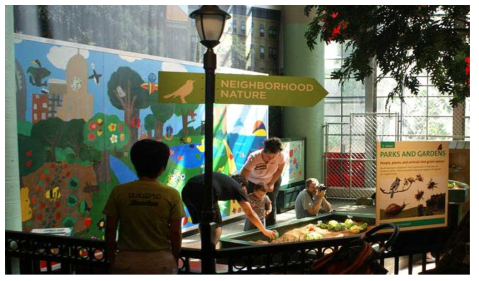 미국 브룩클린 어린이박물관의 Neighborhood Nature