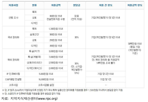 특허청 산하 RIPC의 스타트업 지원 사업