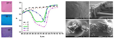 carbocyanine의 저온 변이 특성. Bashev et al (2014)