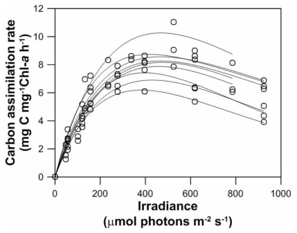 현장 일차생산력 측정을 통한 광합성(탄소동화율)과 광 곡선(n=9)