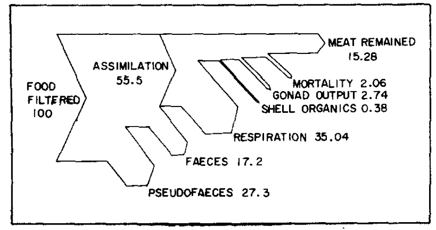 참굴의 에너지 이용 개념도(김, 1980)