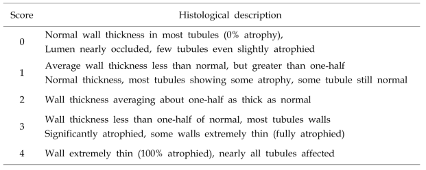 소화맹낭 위축도 지수의 판정법(Kang et al., 2010)