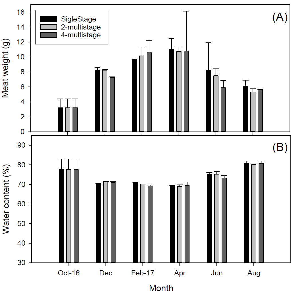 수평망식 다단양성에 따른 양식굴의 월별 육중량(A) 및 함수율(B) 변화