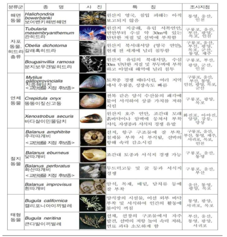 국내에 유입된 외래종의 특징 및 조사지점