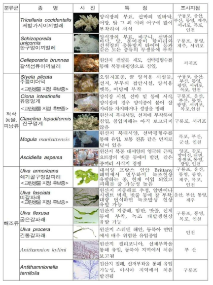 국내에 유입된 외래종의 특징 및 조사지점 (계속)