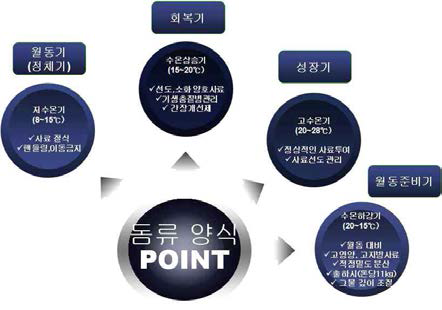 수온별 돔류 양식 관리 대책