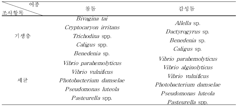 돔류에서 분리된 주요 기생충 및 세균 종류