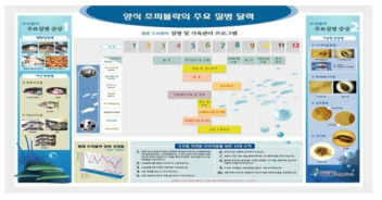 볼락류의 월별 관리프로그램 및 질병 달력(출처: 국립수산과학원)