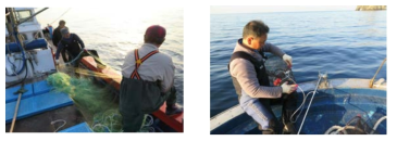 조사해역에서의 자망과 통발 어획 사진