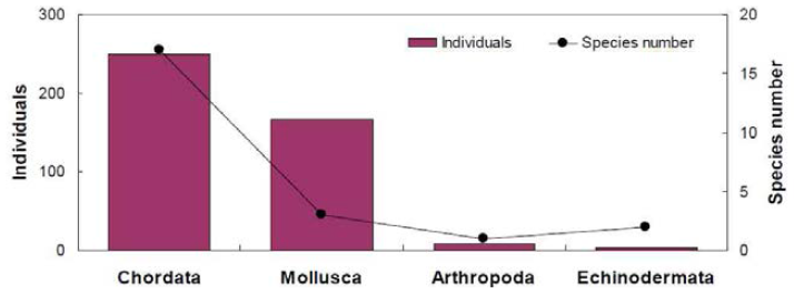 자망에 채집된 생물의 분류군별 총 개체수 및 출현종수 비교