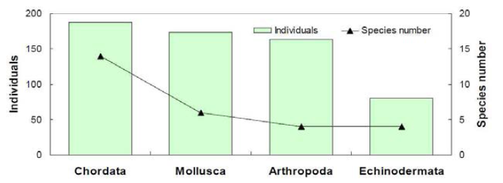 통발에 채집된 생물의 분류군별 총 개체수 및 출현종수 비교