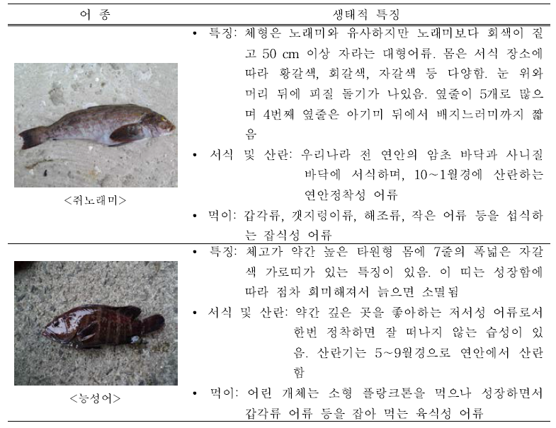 연안 정착성 어류 및 기타 유용성 어종