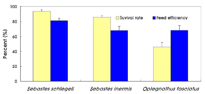 동절기 볼락류와 돌돔의 생존율 및 사료효율 비교 자료