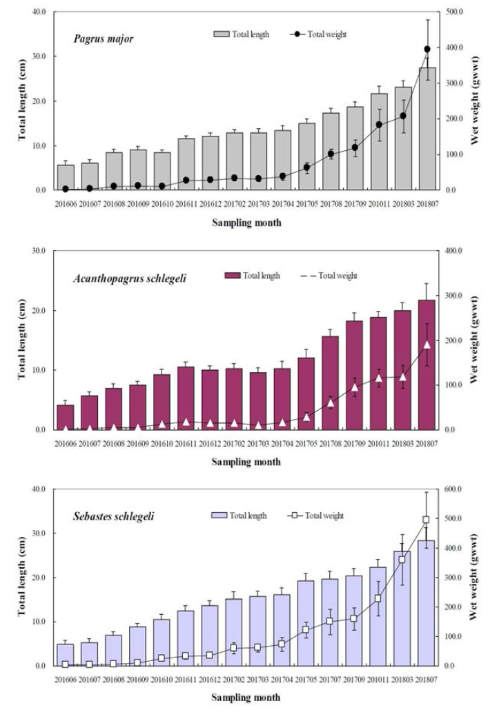 조사시기별 참돔, 감성돔 및 조피볼락의 전장 및 습중량 변화