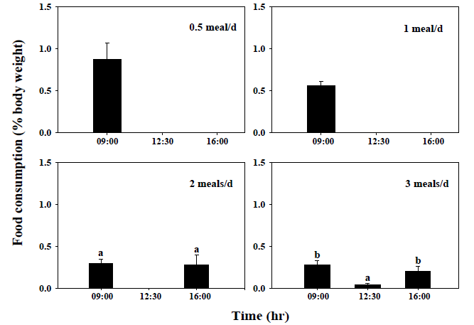 네 가지 서로 다른 사료 공급 횟수에 따른 조피볼락의 일간 사료 섭취 패턴. 서로 다른 문자를 가진 값(평균±표준오차, n=3)은 유의하게 다름(P<0.05)