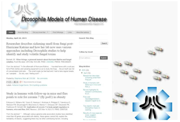 Human Disease 연구를 위한 초파리 모델 검색 website