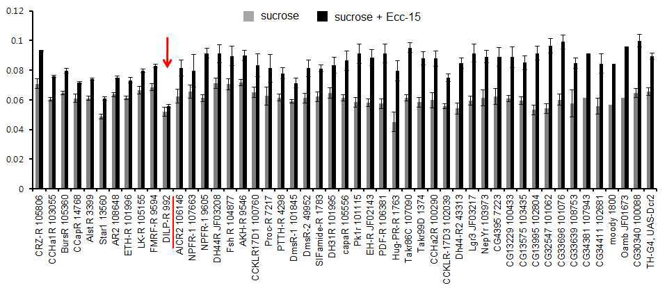 세로토닌성 신경세포에서 Neuropeptide receptor RNAi 후 섭식행동 증가 양상