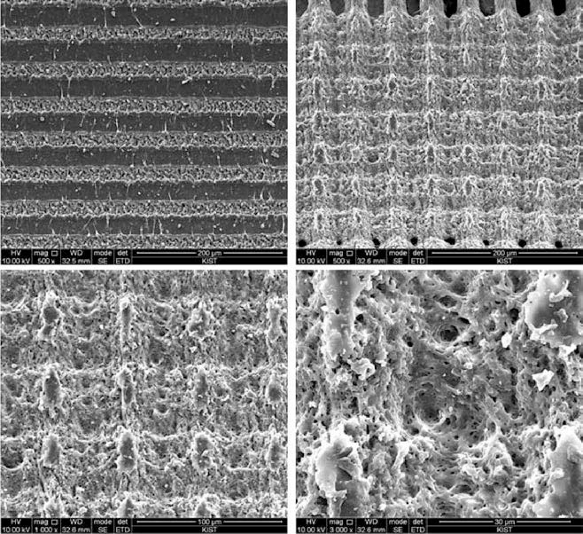 HDPE 필름 표면에서 펨토세컨드 레이저를 이용한 격자 패터닝 결과를 보여주는 SEM 이미지 (Scanning speed: 4 mm/s)