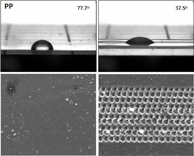 PP (대조군) 및 PP 원형 패터닝 필름의 표면 접촉각