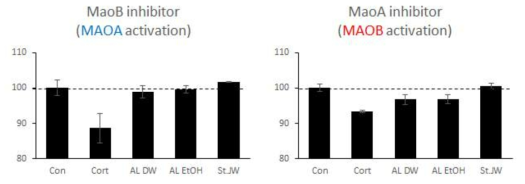 MAO A 및 B 효소의 활성화에 대한 우엉 추출물의 효과 측정 결과