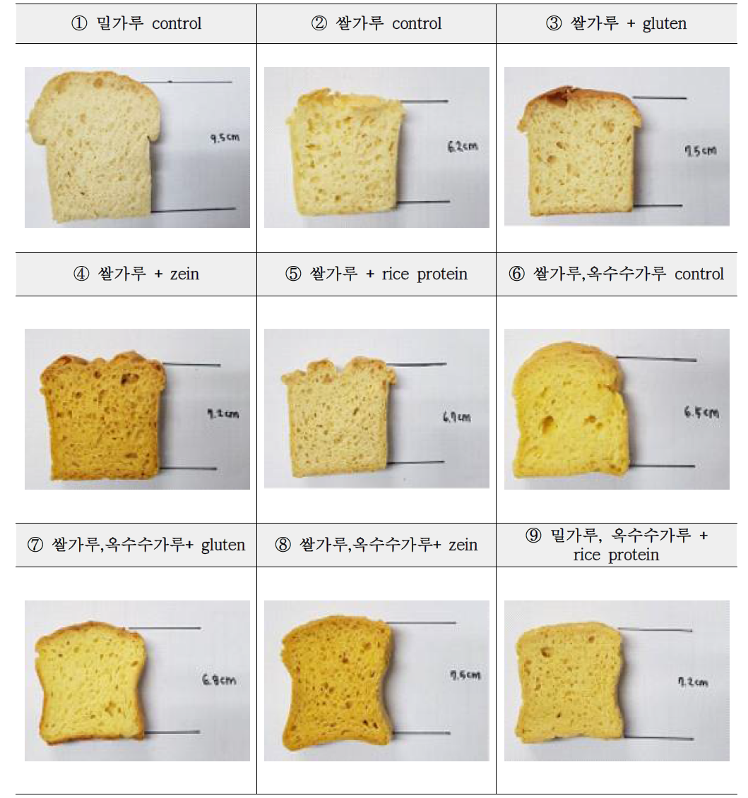단백질 소재를 첨가하였을 때 빵 높이의 차이