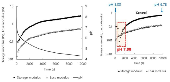 pH 변화에 따른 gellan-SPI 혼합용액의 점탄성(storage, loss modulus (Pa))