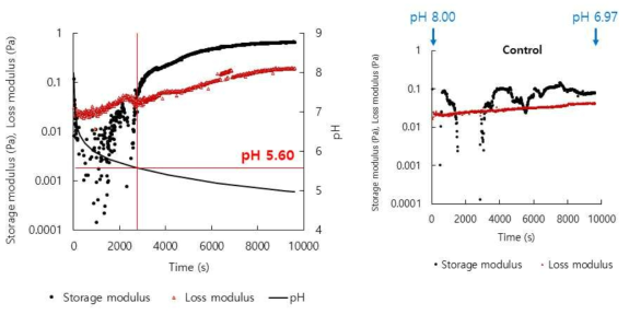 pH 변화에 따른 sodium alginate-SPI 혼합용액의 점탄성(storage, loss modulus (Pa))