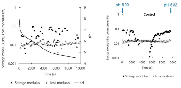 pH 변화에 따른 gluten 용액의 점탄성(storage, loss modulus (Pa))
