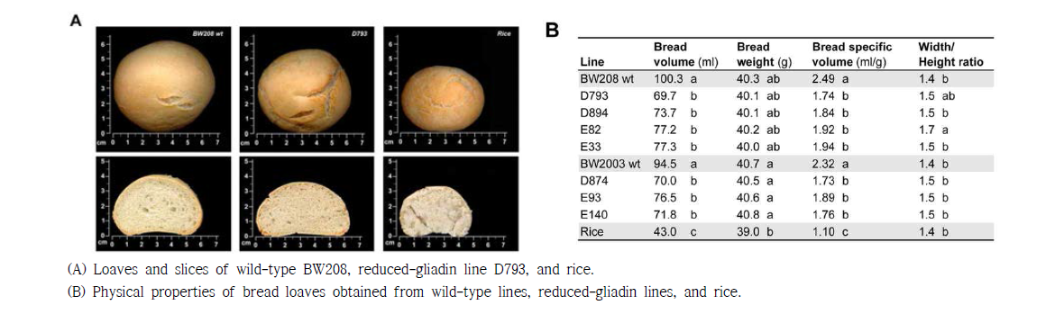 reduced-gliadin bread: physical properties