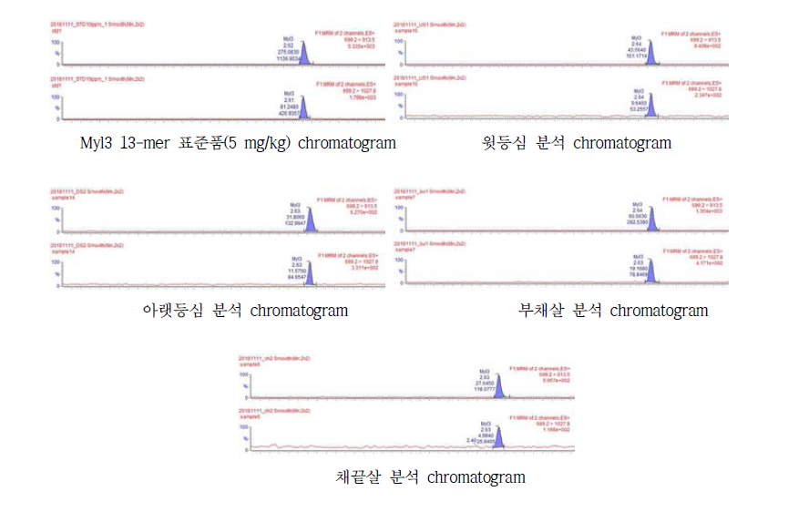 Chromatograms of standard (5 mg/kg) and each region of beef