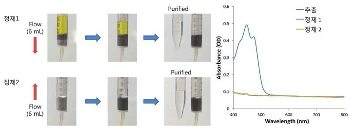 Flow 방향에 따른 정제과정 모습 및 정제된 용액의 흡광도 분석 결과