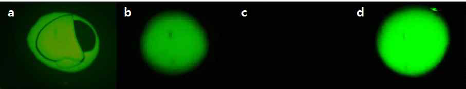 건조 습도에 따른 sol-gel spot; (a) 70%, (b) 90%, Sol-gel spot의 형광발현 이미지; (c) PBS, (d) DNA