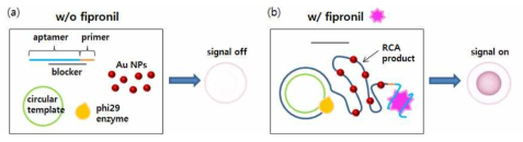 앱타머와 RCA를 이용한 피프로닐 비색검출 모식도
