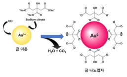 금 나노입자 합성 모식도